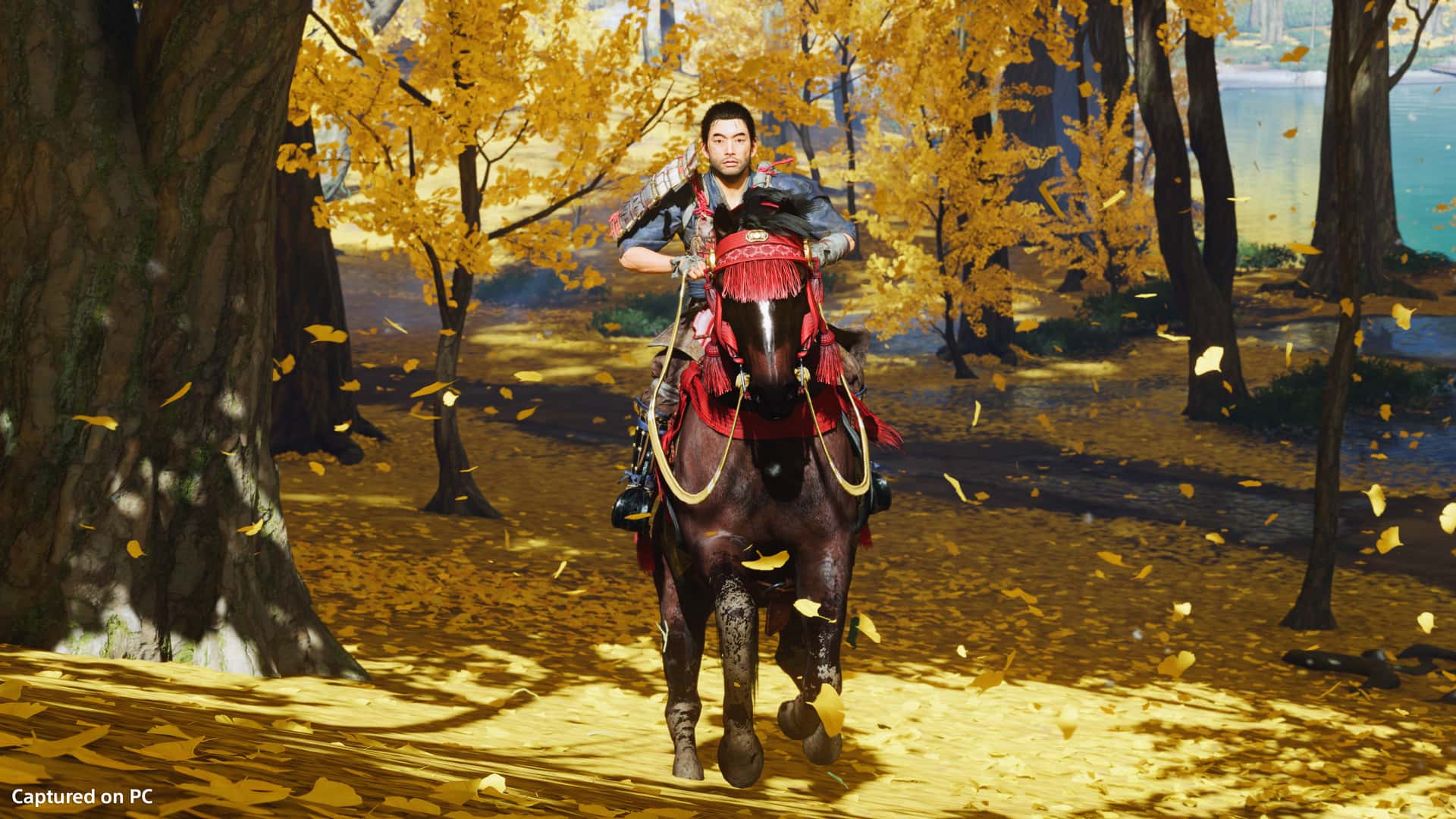 对马岛之魂 Ghost of Tsushima 导演剪辑版 全DLC最新豪华中文版封面